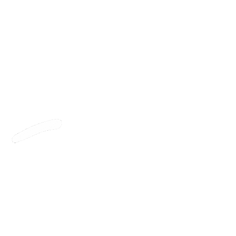 Stussy_Logo_GIF-The_Stussy_Jacket
